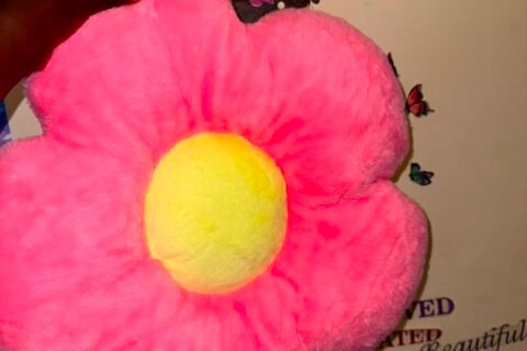 pillow